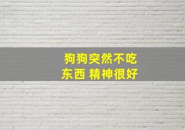 狗狗突然不吃东西 精神很好